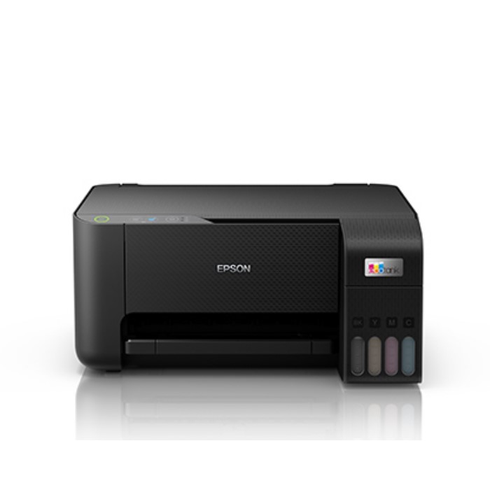 Epson esc p r v4 class driver что это